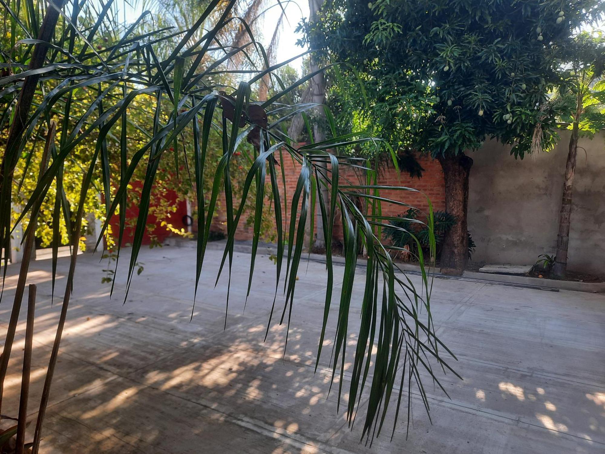 La Posada De Dante Puerto Iguazú Exterior foto